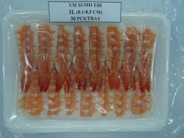 Ｒ1180 SUSHI EBI 3L